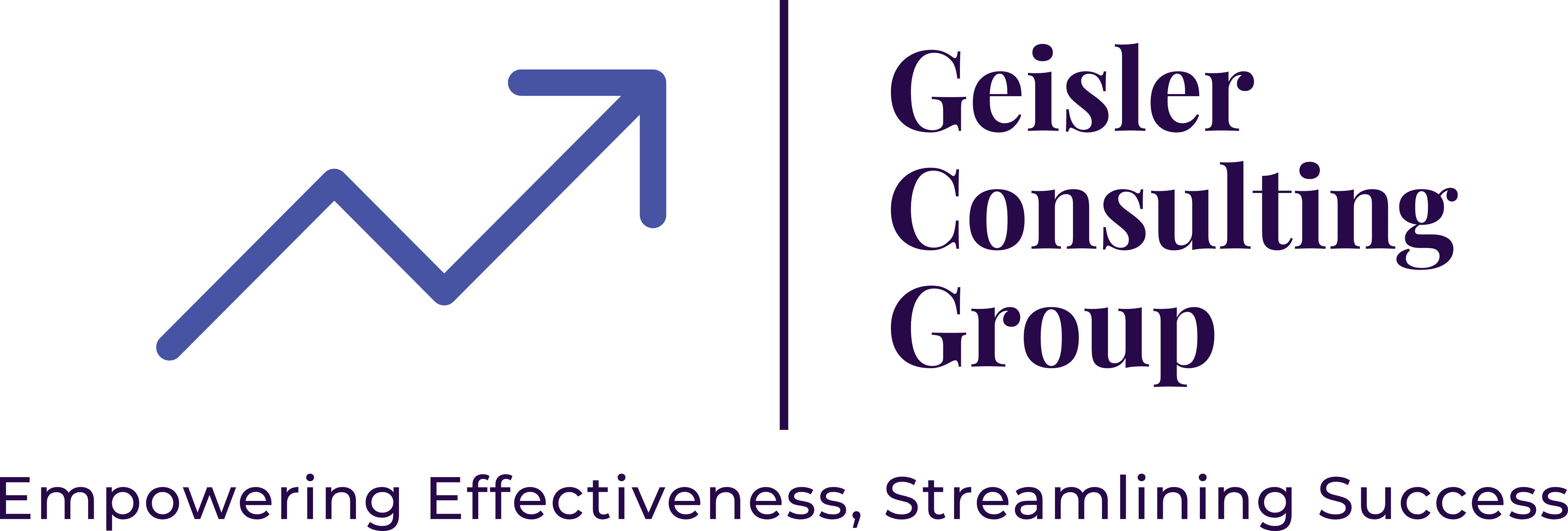 Geisler Consulting Group